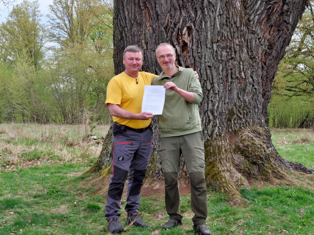 Contract handover at Breite wood-pasture